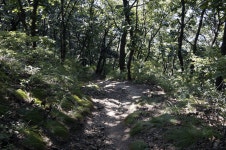 자연휴양림~백운봉~헬기장~두리봉~용문산 자연휴양림) - 뽐뿌... (初登)의 기억 (용문산 자연휴양림~백운봉~헬기장~두리봉~용문산 자연휴양림)