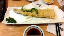 갓텐스시 - 뽐뿌:자유갤러리 갓텐스시