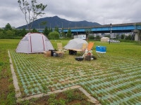 부산 화명동오토캠핑장 후기 - 뽐뿌:캠핑포럼 부산 화명동오토캠핑장 후기