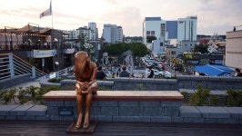 오늘 강릉 월화거리 - 뽐뿌:자유게시판 오늘 강릉 월화거리