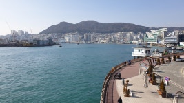 다시 걷는 갈맷길 (2월 01일, 갈맷길 4코스 1구간, 사진 많음) - 뽐뿌:등산포럼 다시 걷는 갈맷길 (2월 01일, 갈맷길 4코스 1구간, 사진 많음)