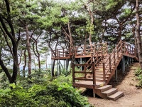 어쩌다 광교산까지 - 뽐뿌:등산포럼 어쩌다 광교산까지