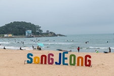 해파랑길 2코스(미포-대변항) - 뽐뿌:자유갤러리 해파랑길 2코스(미포-대변항)