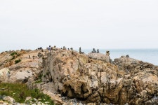 해파랑길 2코스(미포-대변항) - 뽐뿌:자유갤러리 해파랑길 2코스(미포-대변항)