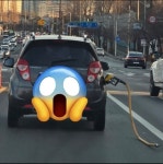 우리의 여사님 - 뽐뿌:연예인포럼 우리의 여사님