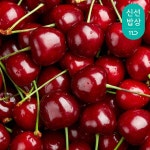 [11번가] 항공 직송 체리 9.5R 350+350g 2팩 (700g 발송) (15,490원/무배) - 뽐뿌:뽐뿌게시판 [11번가] 항공 직송 체리 9.5R 350+350g... 