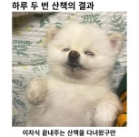 하루 두 번 산책의 결과 - 뽐뿌:자유게시판 하루 두 번 산책의 결과