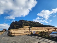 성산일출봉입니다 - 뽐뿌:자유게시판  성산일출봉입니다