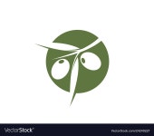 Olive icon Royalty Free Vector Image - VectorStock Olive icon vector image on VectorStock