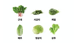 HARRY HERBS-맛있는 채소가 스스로 자라는 모습을 지켜보세요~ by 주식회사 4플레이(Fourplay)