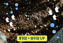 법인씨앗토리 | by 농업회사법인 씨앗토리(주) | wadiz [우리 아이의 첫번째 미니 텃밭]... 작지만 지구를 살리는 실천입니다. by 농업회사법인 씨앗토리(주) | 와디즈