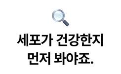 강남권 부자들만 알고 있는 비밀스러운 영양제｜미토콘드리아 케어 솔루션™ by 주식회사 도즈랩