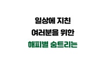 크리스마스에 트렌디한 실내 장식으로 주목되는 해피별 숨트리 by 해피별협동조합