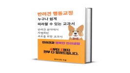 [초보 견주 환영] 누구나 쉽게 따라할 수 있는 강아지 행동교정