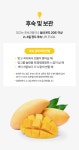 더욱 달콤하고 풍부한 과즙 태국산 프리미엄 골드망고