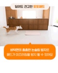 1일 134원, 1년에 5장으로 해결하는 반려동물 배변패드, 또또패드 by 주식회사 피제이인터네셔널