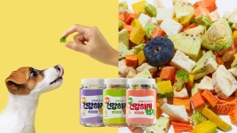 [100%과일&채소] 첨가물 없는 댕댕이 진짜 자연간식, 건강하개 먹개! by 건강하개 먹개