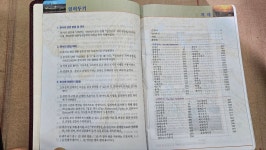 [성탄절 한정판] 47년 금장기술로 담은 3면 성화, 신비로운 성경