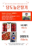 [당도보장100%] 자연에서 온 프리미엄 고당도 설향딸기