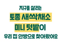 법인씨앗토리 | by 농업회사법인 씨앗토리(주) | wadiz [우리 아이의 첫번째 미니 텃밭]... 작지만 지구를 살리는 실천입니다. by 농업회사법인 씨앗토리(주) | 와디즈