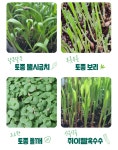 법인씨앗토리 | by 농업회사법인 씨앗토리(주) | wadiz [우리 아이의 첫번째 미니 텃밭]... 작지만 지구를 살리는 실천입니다. by 농업회사법인 씨앗토리(주) | 와디즈