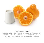 [설선물] 300일, 나무에서 찐-하게 익은 달콤 과즙 팡! 리얼 한라봉 by 베리베리 싱글 [by비플]