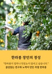[설선물] 300일, 나무에서 찐-하게 익은 달콤 과즙 팡! 리얼 한라봉 by 베리베리 싱글 [by비플]