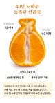[설선물] 300일, 나무에서 찐-하게 익은 달콤 과즙 팡! 리얼 한라봉 by 베리베리 싱글 [by비플]