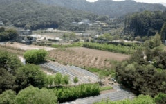 차원을 넘어선 특별한 맛과 향, 해외에서 화제의 증류주를 소개합니다! by 주식회사 부자진농업회사법인