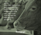 [설전 도착]우아한 맛의 여정, 1969 길상만찬 1++암소 한우선물세트