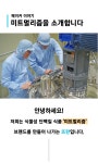 [미트멀리즘] 대두의 화려한 변신~ 식물성 단백질 가득 머슬강정 3종세트