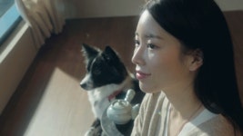 [5000평 규모] 프리미엄 애견풀빌라 스테이펫 홍천 OPEN기념 혜택!