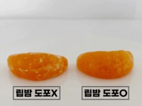 칙칙한 입술에 생기 담는 순수 비타민C 립세린 틴트 by 제이와이비 인 라이프