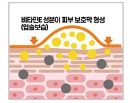 칙칙한 입술에 생기 담는 순수 비타민C 립세린 틴트 by 제이와이비 인 라이프