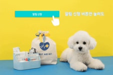 [댕냥집사 필수템] 반려동물 스마트 응급키트 & 1초 퀵 응급가이드 by 펫터
