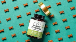 반려견의 인지기능 향상을 위한 애견 간식