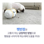 [테크위크]노즈워크놀이/짖음완화 앱 연동 펫 스마트 케어 로봇-펫반장 by 주식회사 디로펫