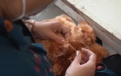 [프랑스 생산] 프랑스 장인이 직접 만든 프리미엄 인형 마일루를 만나봐요 by 주식회사 제이엘티씨파트너스