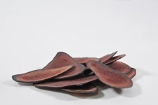 20년 경력 한약사가 만든 어린이 최적화 건강음료! 아이들이 먼저찾아요! by 약원허브약원한약국