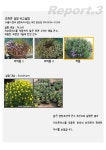 식집사를 위한 독일에서 온 물주기 솔루션