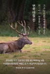 본로이(BONROI) | [4만원대] 최고급 러시아산 녹용 20,000mg "면력대첩 진" by 본로이(BONROI)