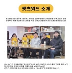 더 도톰해서 더 뽀송하게 펫츠워드 국내산 프리미엄 배변패드