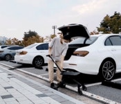 [한정수량] 하우스→유모차 3초! 반려동물 외출의 혁신! 카펫 라이드  [한정수량] 하우스→유모차 3초! 반려동물 외출의 혁신! 카펫 라이드