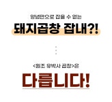 [5001% 앵콜!] 연매출30억 신화! 다시 돌아온 <원조유박사곱창>
