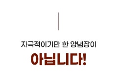 [5001% 앵콜!] 연매출30억 신화! 다시 돌아온 <원조유박사곱창>