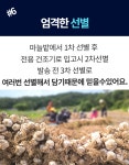 2024햇마늘! 여러분과 농부 모두 웃는 농부의 상생마늘 by 농장760농업회사법인(주)