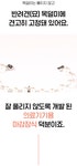 반려동물 의료기기 목걸이 by 주식회사다온티에프지 | wadiz [앵콜]반려동물 근육통 개선과 예쁜 스타일까지? 반려동물 의료기기 목걸이 by... 