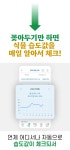 업글 앵콜 | 반려식물 죽이지 마세요! 식물마다 물 줄 시기 알려드려요