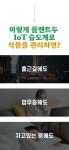 업글 앵콜 | 반려식물 죽이지 마세요! 식물마다 물 줄 시기 알려드려요
