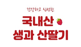 [산딸기] 평점4.5/생과산딸기 초여름 한정! 상큼달콤 국내산 산딸기